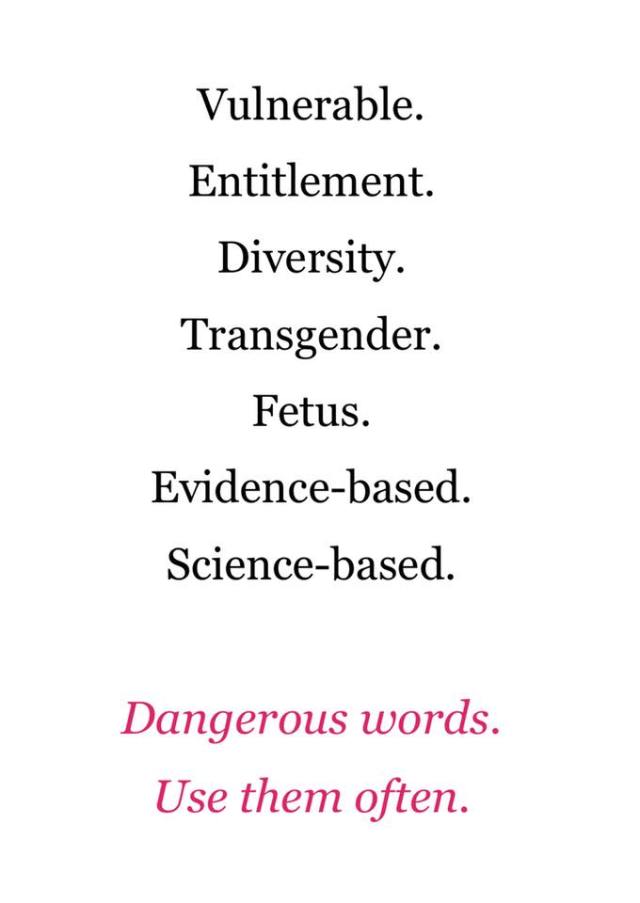 Dangerous-Words